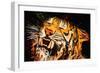 The Tiger-Rabi Khan-Framed Premium Giclee Print