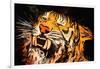 The Tiger-Rabi Khan-Framed Art Print