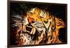 The Tiger-Rabi Khan-Framed Art Print