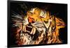 The Tiger-Rabi Khan-Framed Art Print