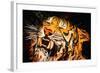 The Tiger-Rabi Khan-Framed Art Print