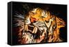 The Tiger-Rabi Khan-Framed Stretched Canvas