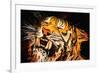 The Tiger-Rabi Khan-Framed Art Print