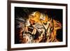 The Tiger-Rabi Khan-Framed Art Print