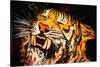 The Tiger-Rabi Khan-Stretched Canvas