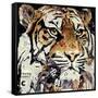 The Tiger-James Grey-Framed Stretched Canvas
