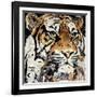 The Tiger-James Grey-Framed Art Print