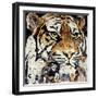 The Tiger-James Grey-Framed Art Print