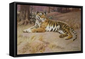 The Tiger-John Charles Dollman-Framed Stretched Canvas