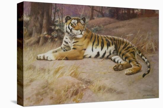 The Tiger-John Charles Dollman-Stretched Canvas