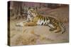 The Tiger-John Charles Dollman-Stretched Canvas