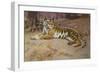 The Tiger-John Charles Dollman-Framed Giclee Print