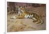 The Tiger-John Charles Dollman-Framed Giclee Print