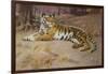 The Tiger-John Charles Dollman-Framed Giclee Print