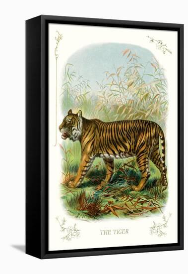 The Tiger-null-Framed Stretched Canvas