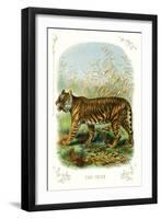 The Tiger-null-Framed Art Print