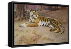 The Tiger-John Charles Dollman-Framed Stretched Canvas