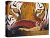 The Tigress-Graeme Stevenson-Stretched Canvas