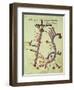 The Tigris and the Euphrates from a Geographical Atlas-Al Istalhry-Framed Giclee Print