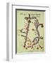 The Tigris and the Euphrates from a Geographical Atlas-Al Istalhry-Framed Giclee Print