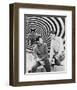 The Time Tunnel-null-Framed Photo