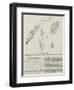 The Tingewick Fossils-null-Framed Premium Giclee Print