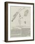 The Tingewick Fossils-null-Framed Giclee Print