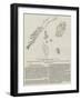 The Tingewick Fossils-null-Framed Giclee Print