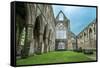 The Tintern Abbey Church, First Cistercian Foundation in Wales, Dating Back to A.D. 1131-matthi-Framed Stretched Canvas