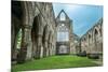 The Tintern Abbey Church, First Cistercian Foundation in Wales, Dating Back to A.D. 1131-matthi-Mounted Photographic Print