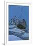 The Titanic Collides with an Iceberg on the 28th Aprl 1912-English School-Framed Giclee Print