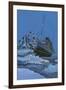 The Titanic Collides with an Iceberg on the 28th Aprl 1912-English School-Framed Giclee Print