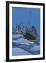 The Titanic Collides with an Iceberg on the 28th Aprl 1912-English School-Framed Giclee Print