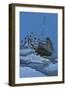 The Titanic Collides with an Iceberg on the 28th Aprl 1912-English School-Framed Giclee Print