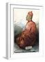 The Tokchim Tarjum, 1898-null-Framed Giclee Print