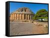 The Tomb of the Christian, Old Christian Pyramid, Tipasa, Algeria, North Africa, Africa-Michael Runkel-Framed Stretched Canvas