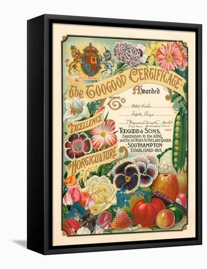 The Toogood Certificate for Excellence in Horticulture-null-Framed Stretched Canvas