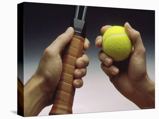The Tools for Tennis-null-Stretched Canvas