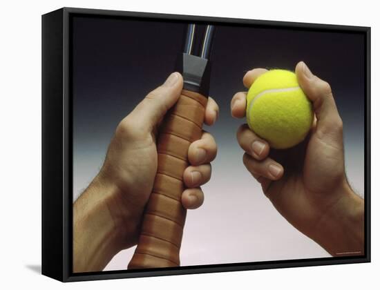 The Tools for Tennis-null-Framed Stretched Canvas