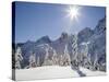 The Tooth in the Background, Mount Baker-Snoqualmie National Forest, Washington, Usa-Jamie & Judy Wild-Stretched Canvas