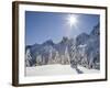 The Tooth in the Background, Mount Baker-Snoqualmie National Forest, Washington, Usa-Jamie & Judy Wild-Framed Photographic Print