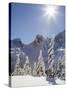 The Tooth in the Background, Mount Baker-Snoqualmie National Forest, Washington, Usa-Jamie & Judy Wild-Stretched Canvas