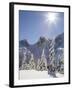 The Tooth in the Background, Mount Baker-Snoqualmie National Forest, Washington, Usa-Jamie & Judy Wild-Framed Photographic Print