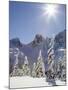 The Tooth in the Background, Mount Baker-Snoqualmie National Forest, Washington, Usa-Jamie & Judy Wild-Mounted Photographic Print