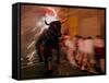 The "Toro De Fuego" or Flaming Bull-null-Framed Stretched Canvas