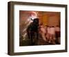 The "Toro De Fuego" or Flaming Bull-null-Framed Photographic Print