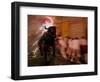 The "Toro De Fuego" or Flaming Bull-null-Framed Photographic Print