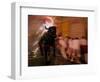 The "Toro De Fuego" or Flaming Bull-null-Framed Photographic Print