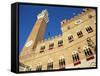 The Torre Del Mangia and Palazzo Pubblico on Palio Day, Siena, Tuscany, Italy-Ruth Tomlinson-Framed Stretched Canvas