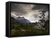 The Torres Del Paine Mountains on a Cloudy Day-Alex Saberi-Framed Stretched Canvas